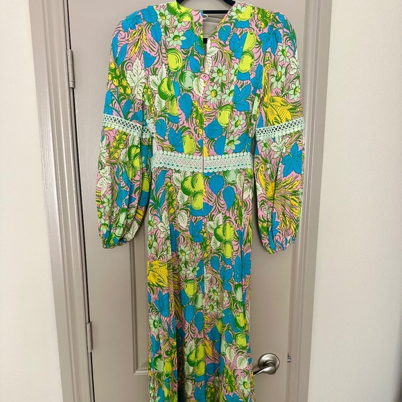 Diane Von Furstenberg Lina Embroidered Floral-Print Crepe Maxi Dress - Picture 3 of 5